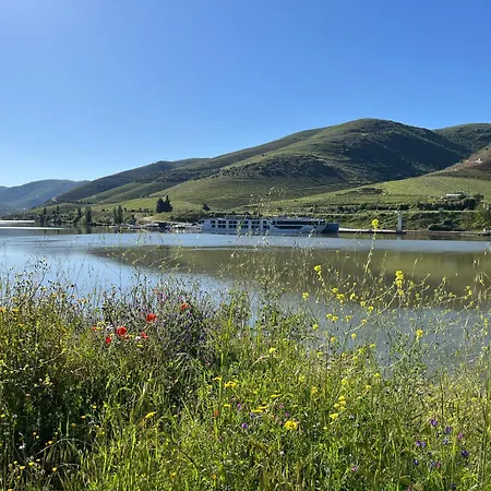 Ph In Alto Douro Vinhateiro * Urros (Torre de Moncorvo, Braganca)