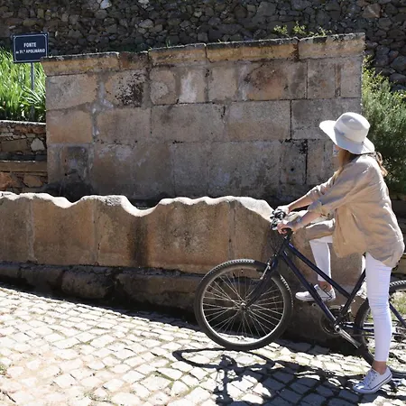 Apartman Ph In Alto Douro Vinhateiro