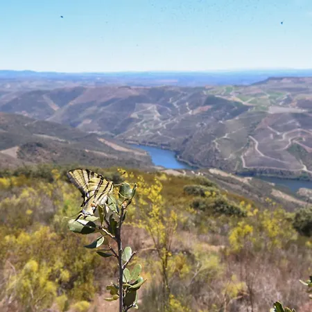 Ph In Alto Douro Vinhateiro Apartamento Urros (Torre de Moncorvo, Braganca)