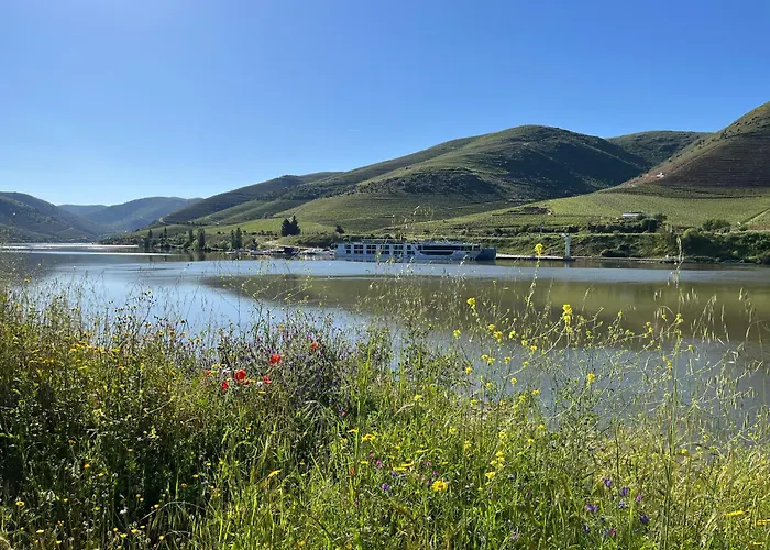 Ph In Alto Douro Vinhateiro * Urros (Torre de Moncorvo, Braganca)
