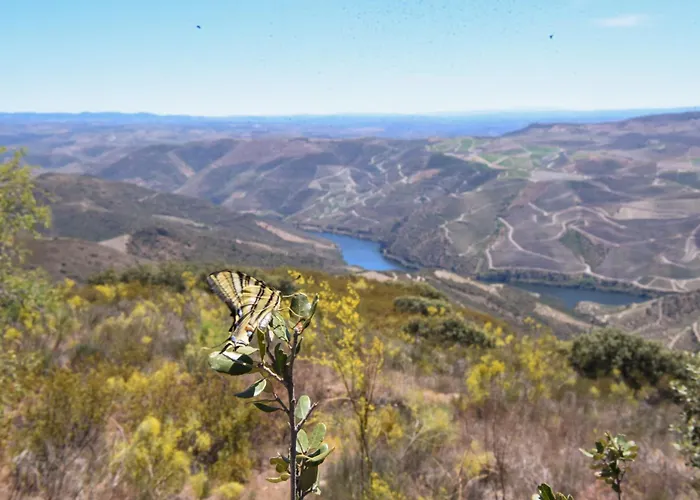 Ph In Alto Douro Vinhateiro Lejlighed Urros (Torre de Moncorvo, Braganca)