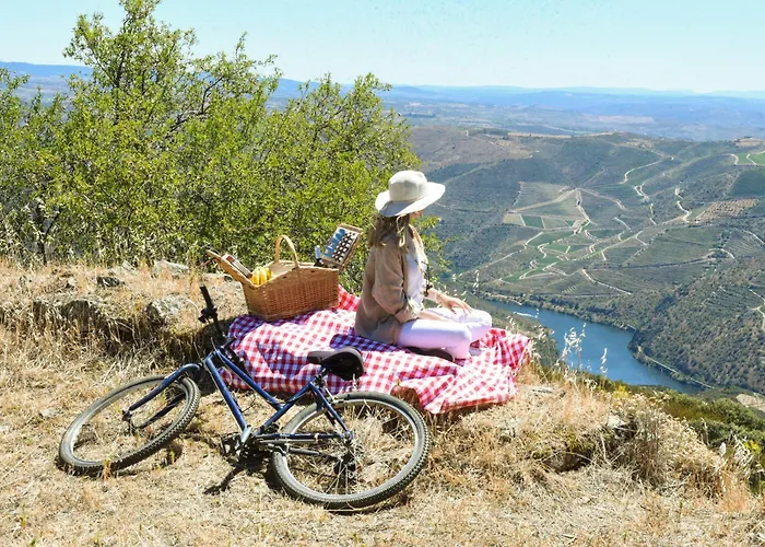 Ph In Alto Douro Vinhateiro Lejlighed